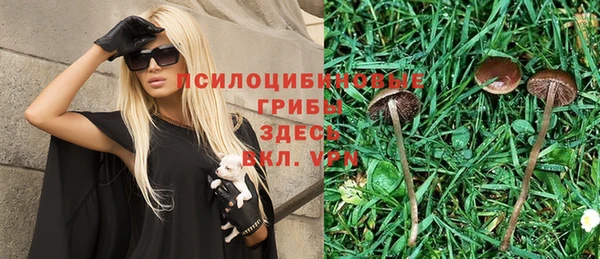 MDMA Premium VHQ Богородицк
