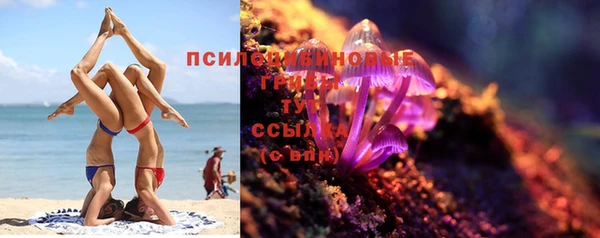 тгк Богданович