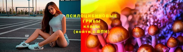 крисы Богородск