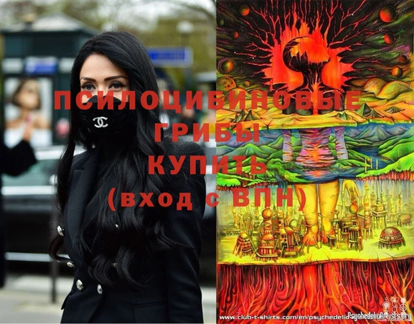 крисы Богородск
