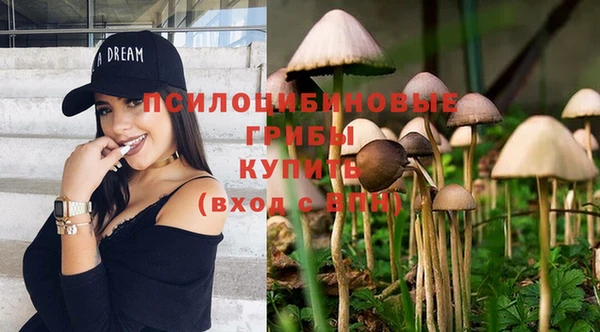 тгк Богданович