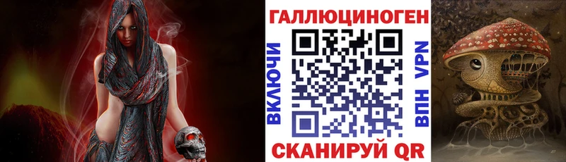 нарко площадка официальный сайт  Купино  Псилоцибиновые грибы Psilocybine cubensis 